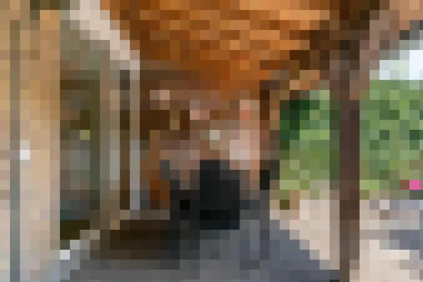 Frankenweg 47 Wijk bij Duurstede thumbnail 25