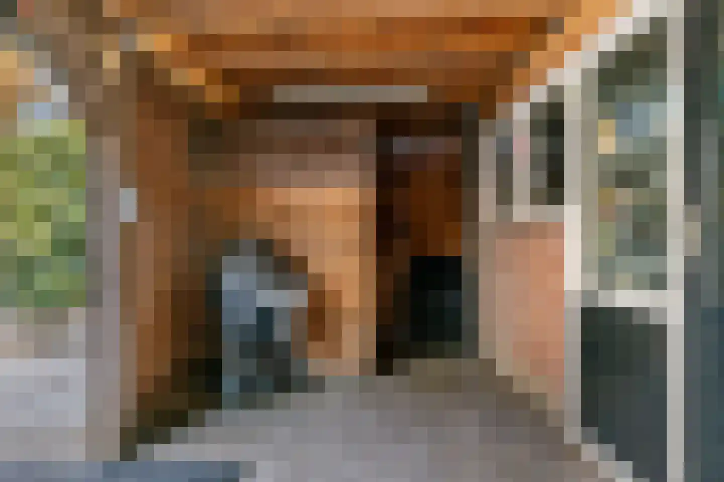 Frankenweg 47 Wijk bij Duurstede thumbnail 28