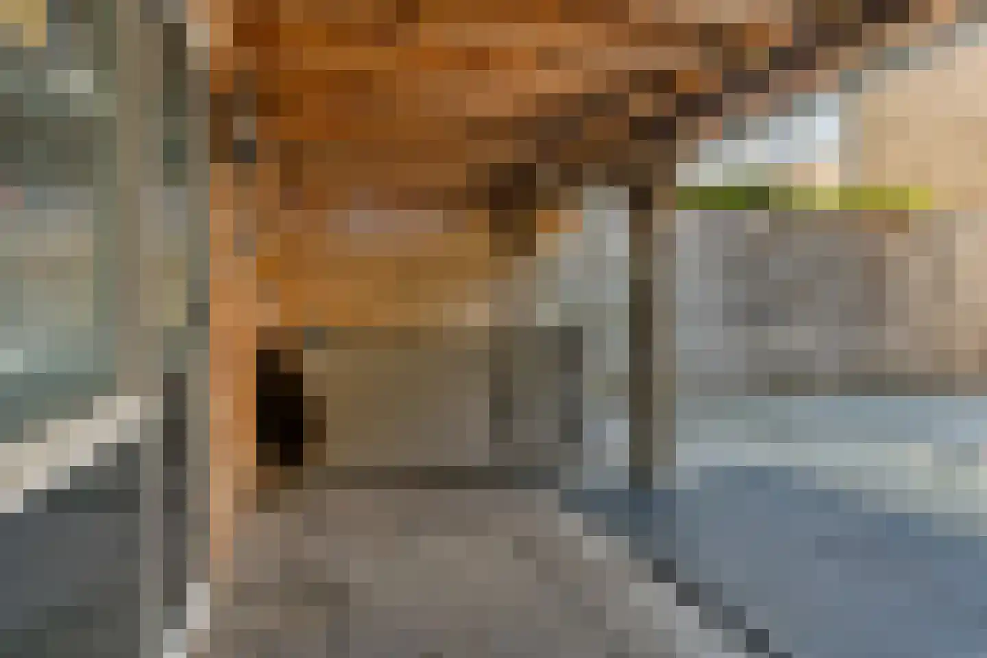 Frankenweg 47 Wijk bij Duurstede thumbnail 29