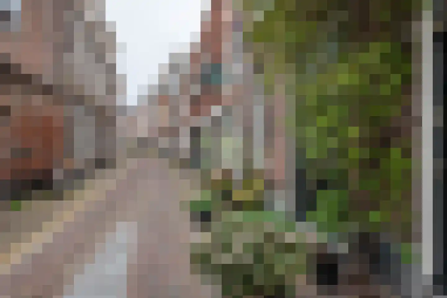 Frankestraat 41 RD Haarlem thumbnail 29