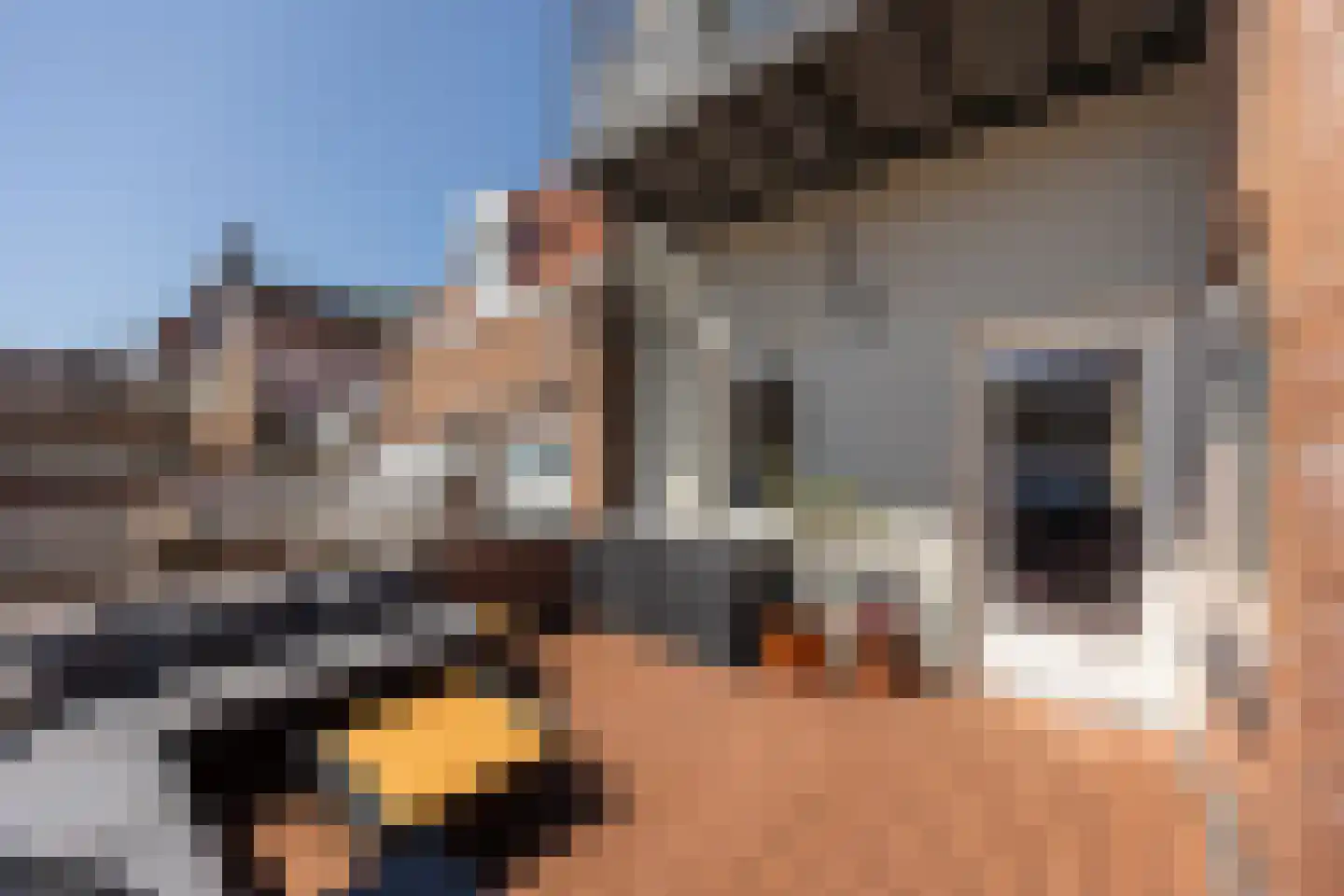 Frankestraat 5 A Haarlem thumbnail 18