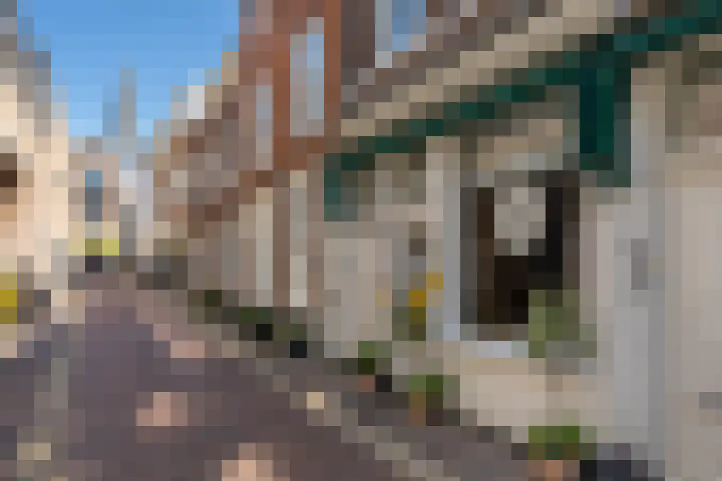 Frankestraat 5 A Haarlem thumbnail 19