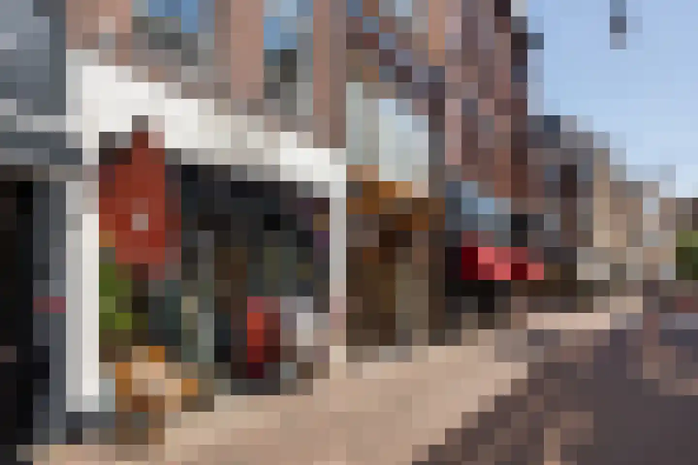 Frankestraat 5 A Haarlem thumbnail 22