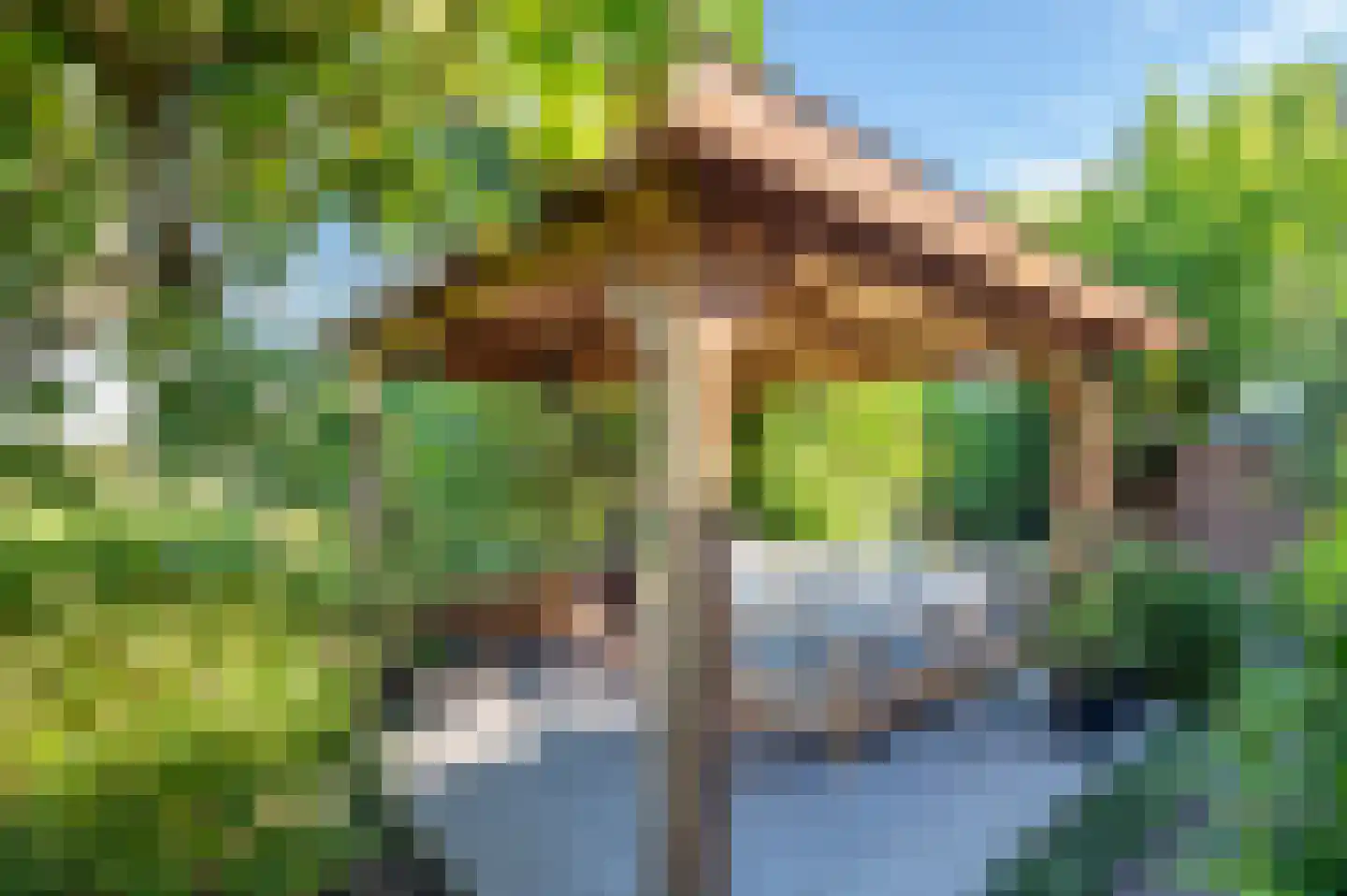 Frankhuisweg 16 Zwolle thumbnail 33