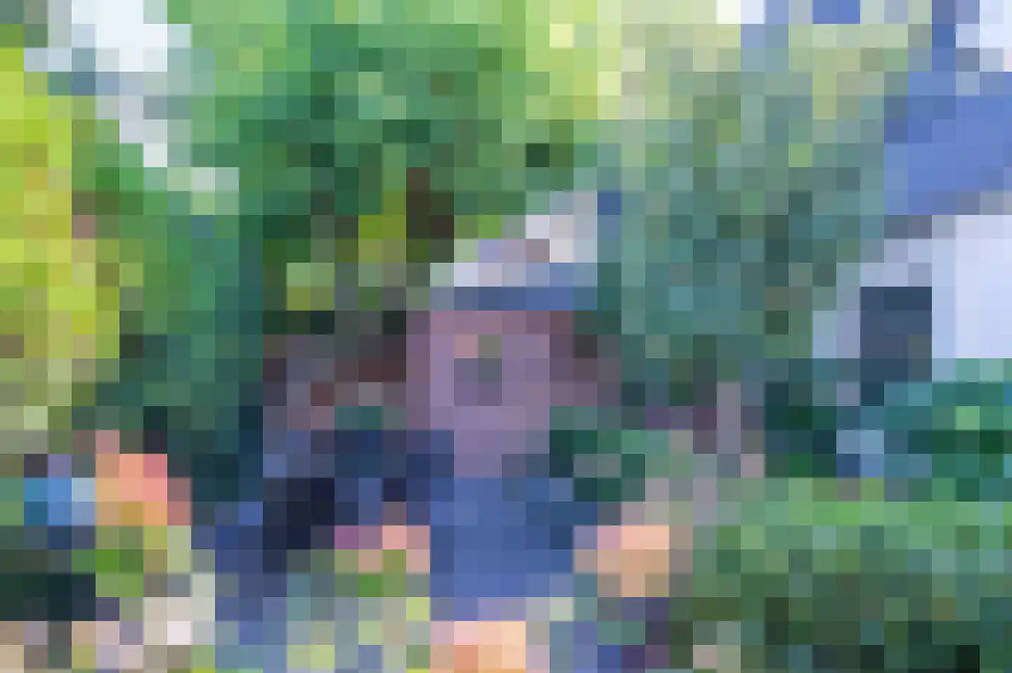 Frankhuisweg 16 Zwolle thumbnail 35