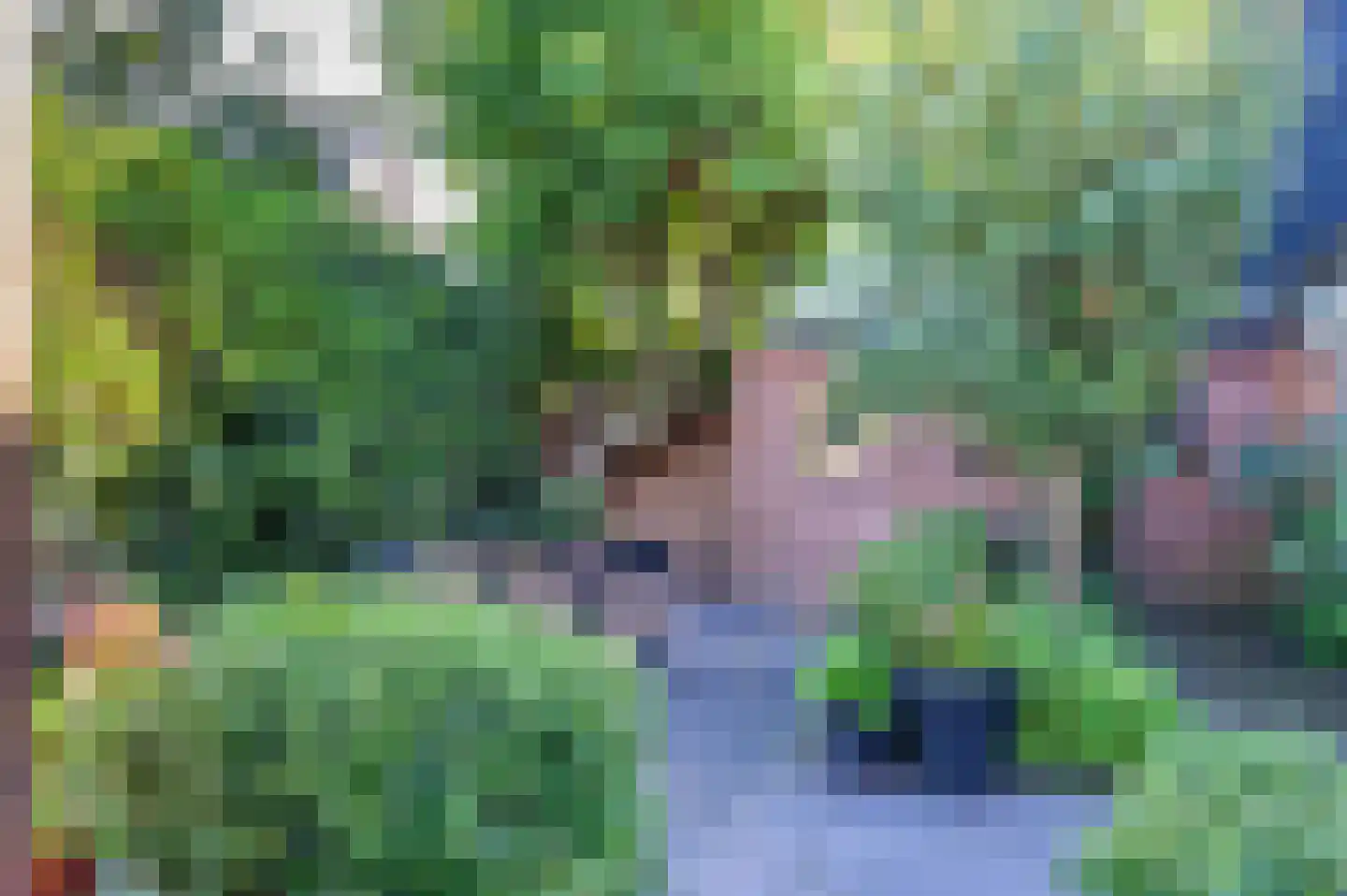 Frankhuisweg 16 Zwolle thumbnail 36
