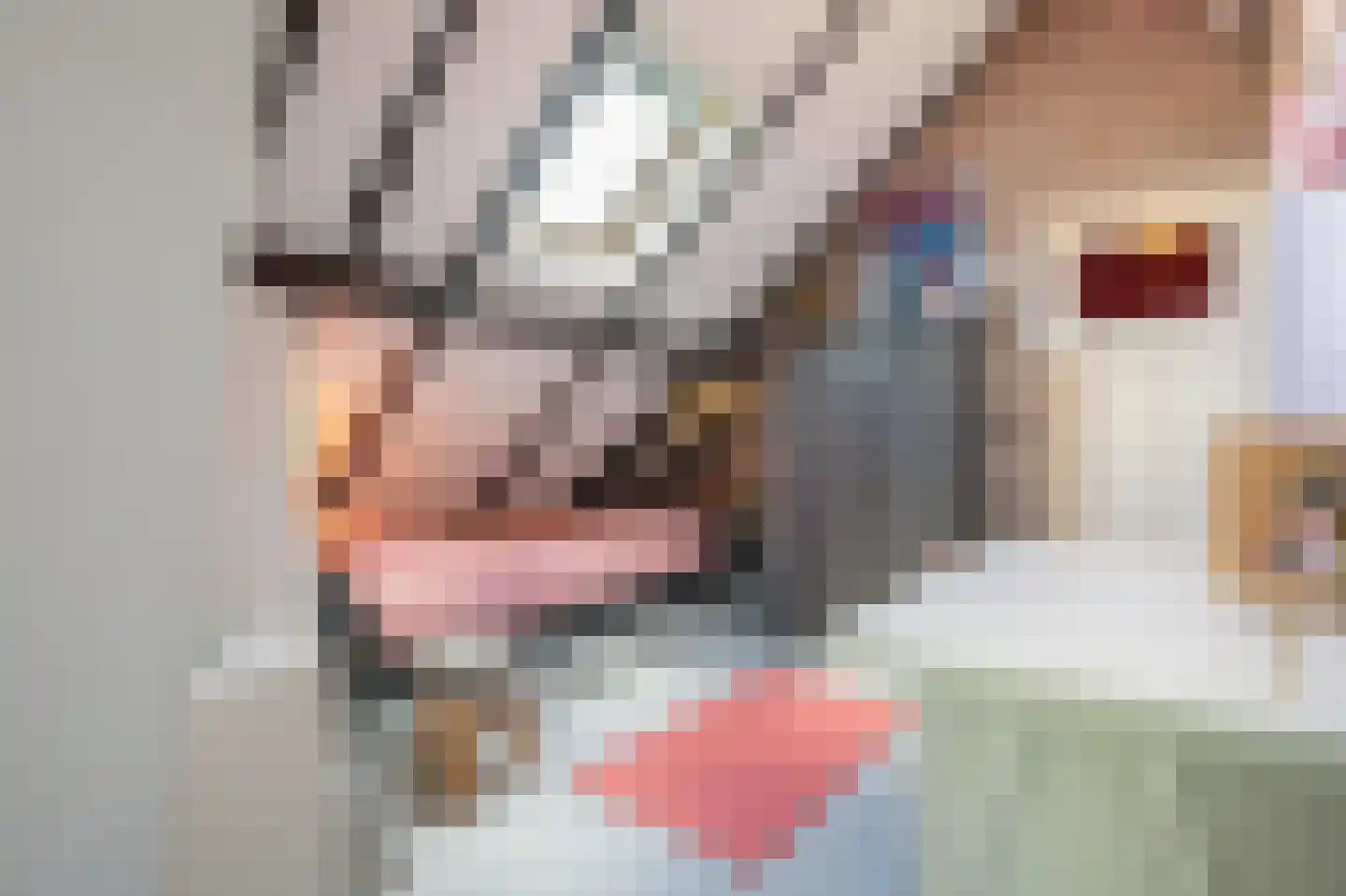 Frankhuisweg 16 Zwolle thumbnail 47