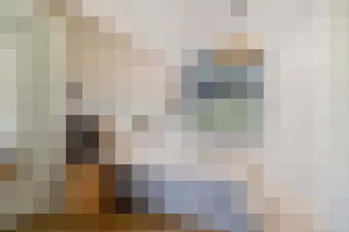 Frankhuisweg 33 Zwolle thumbnail 10