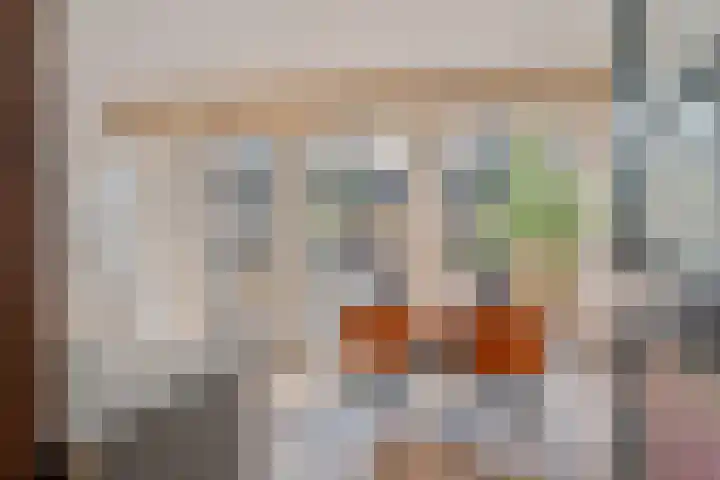 Frankhuisweg 33 Zwolle thumbnail 18
