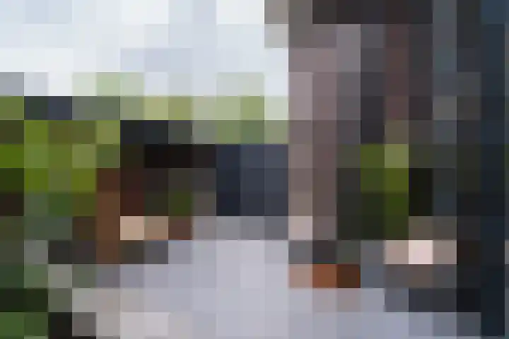 Frankhuisweg 33 Zwolle thumbnail 30