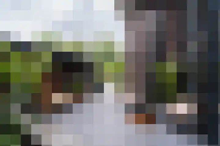 Frankhuisweg 33 Zwolle thumbnail 31