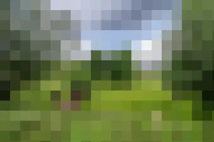 Frankhuisweg 33 Zwolle thumbnail 34