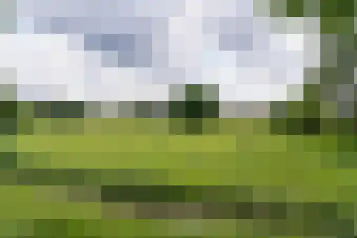 Frankhuisweg 33 Zwolle thumbnail 35
