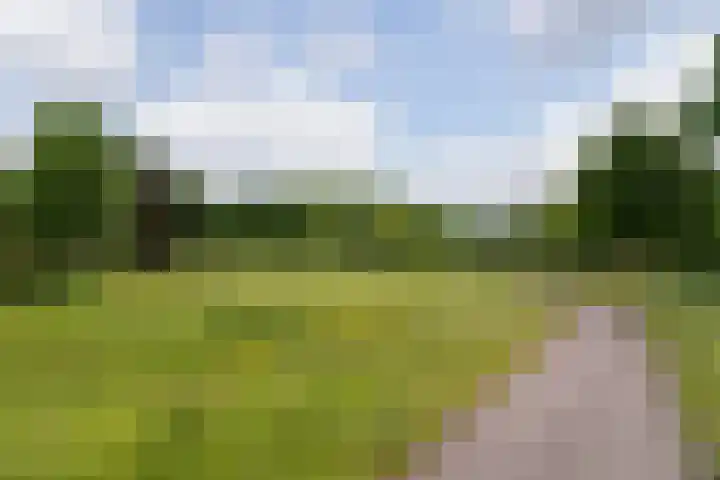 Frankhuisweg 33 Zwolle thumbnail 36