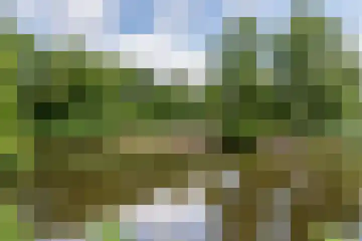 Frankhuisweg 33 Zwolle thumbnail 37