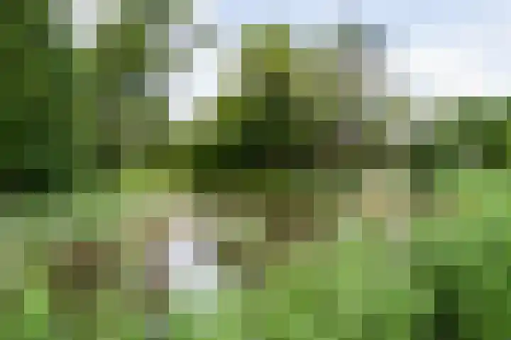 Frankhuisweg 33 Zwolle thumbnail 39