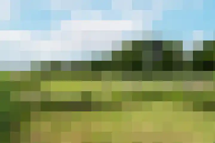 Frankhuisweg 33 Zwolle thumbnail 41