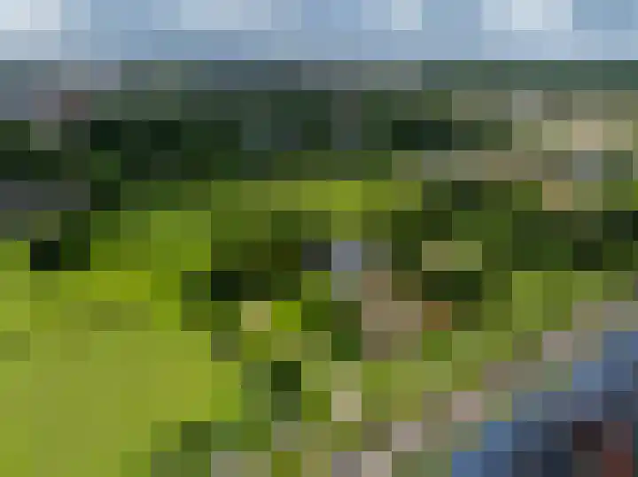 Frankhuisweg 33 Zwolle thumbnail 44
