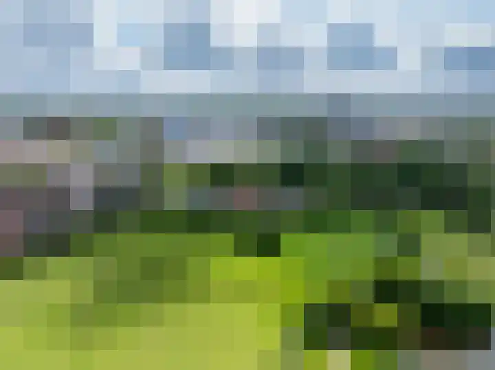 Frankhuisweg 33 Zwolle thumbnail 46