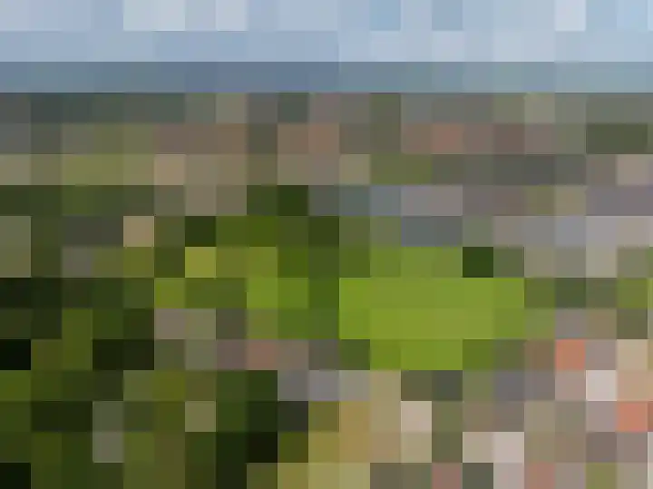 Frankhuisweg 33 Zwolle thumbnail 47