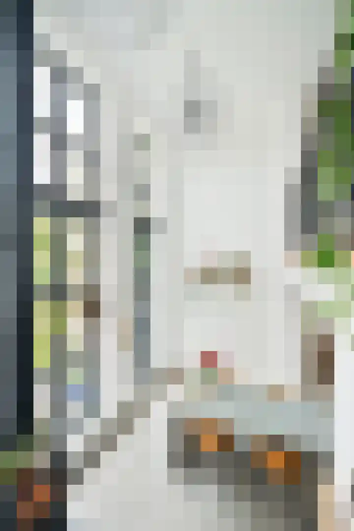 Frankhuisweg 35 Zwolle thumbnail 10