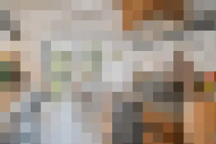 Frankhuisweg 35 Zwolle thumbnail 19