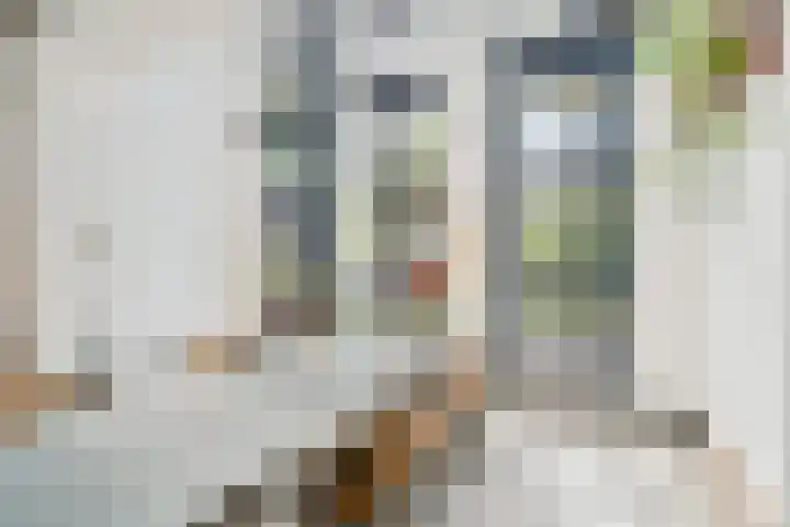 Frankhuisweg 35 Zwolle thumbnail 20