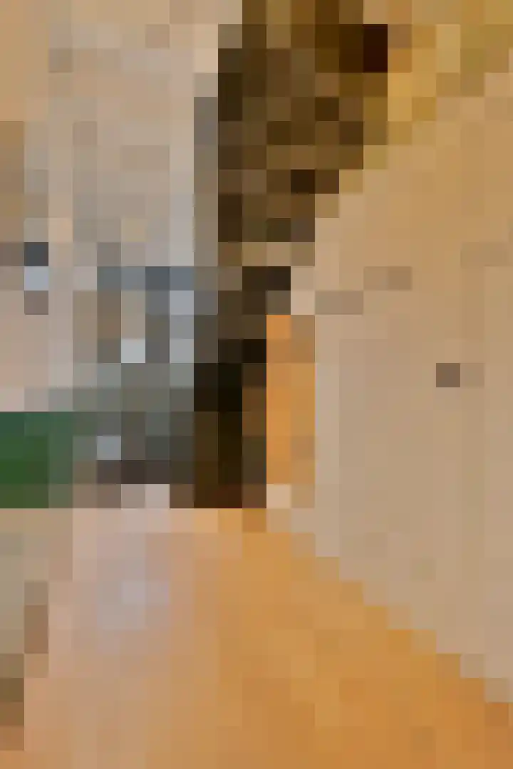 Frankhuisweg 35 Zwolle thumbnail 23