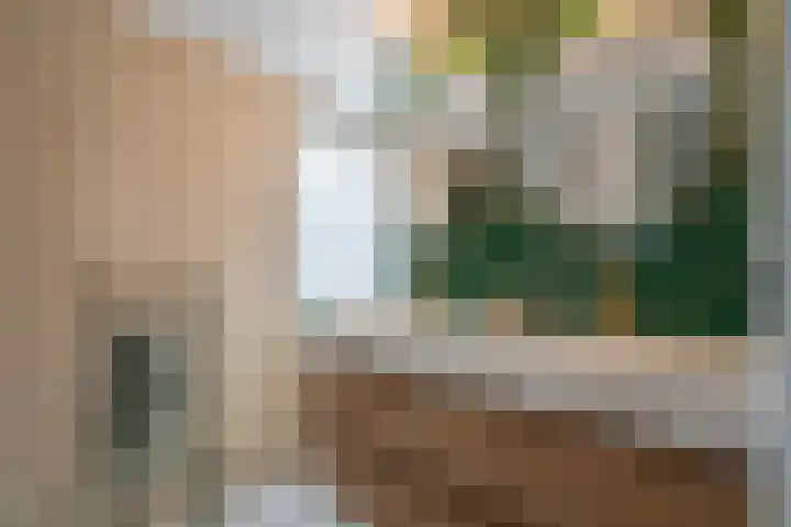 Frankhuisweg 35 Zwolle thumbnail 26
