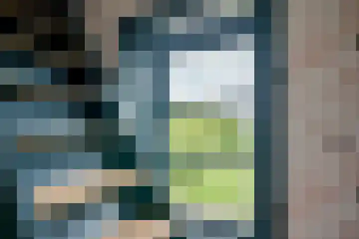 Frankhuisweg 35 Zwolle thumbnail 32