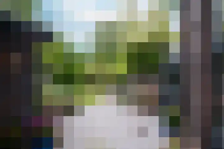 Frankhuisweg 35 Zwolle thumbnail 35