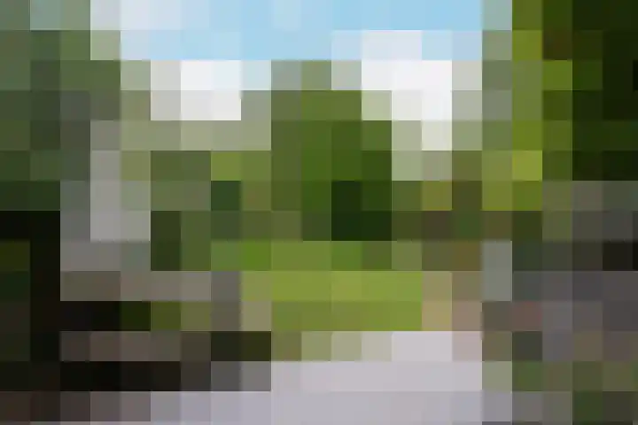 Frankhuisweg 35 Zwolle thumbnail 36