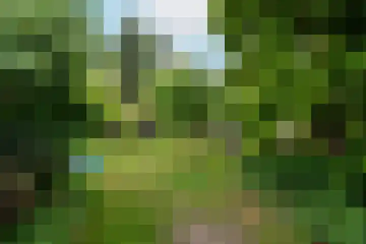 Frankhuisweg 35 Zwolle thumbnail 37
