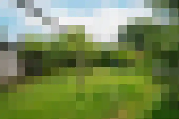 Frankhuisweg 35 Zwolle thumbnail 39