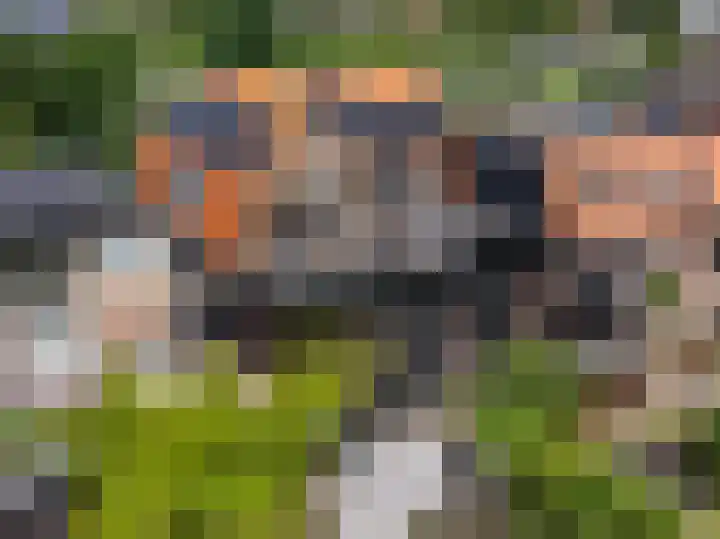 Frankhuisweg 35 Zwolle thumbnail 42