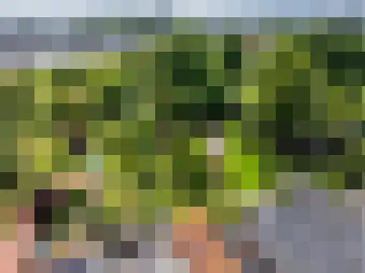Frankhuisweg 35 Zwolle thumbnail 43