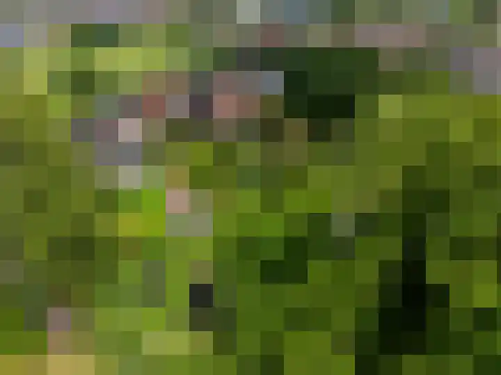 Frankhuisweg 35 Zwolle thumbnail 44