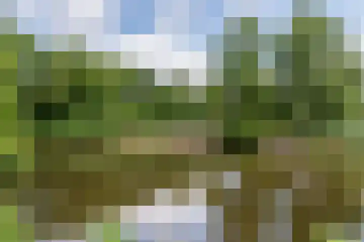 Frankhuisweg 35 Zwolle thumbnail 54