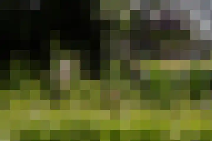 Frankhuisweg 35 Zwolle thumbnail 55