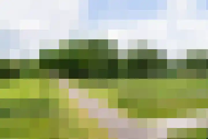 Frankhuisweg 35 Zwolle thumbnail 56