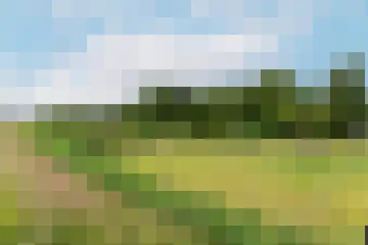 Frankhuisweg 35 Zwolle thumbnail 59