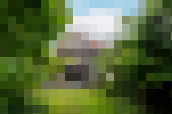 Frankhuisweg 35 Zwolle thumbnail 70