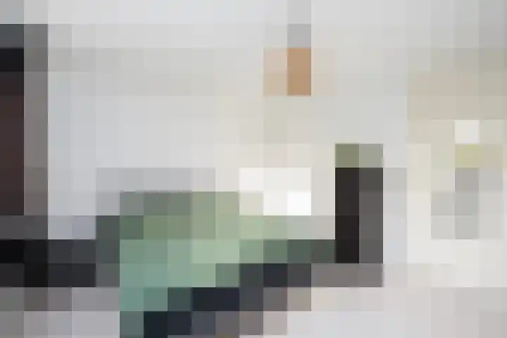 Frankhuisweg 5 Zwolle thumbnail 20