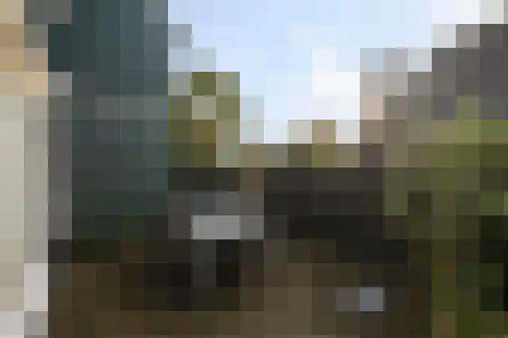 Frankhuisweg 5 Zwolle thumbnail 23