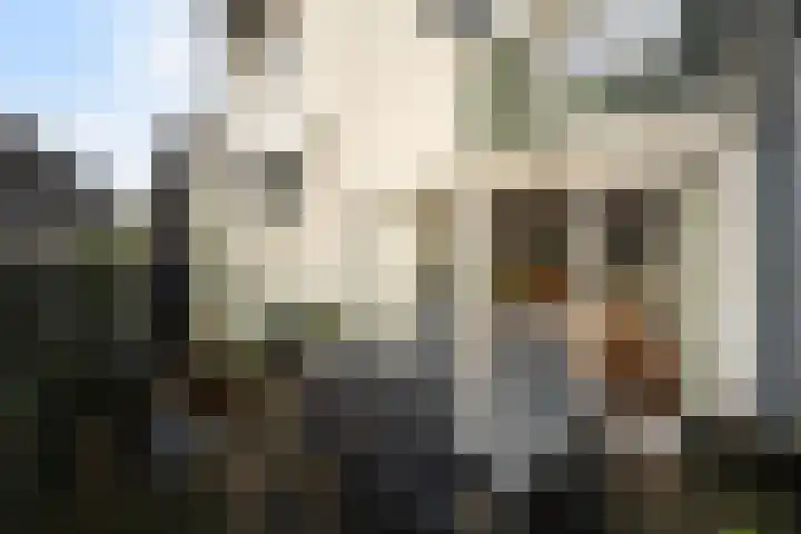 Frankhuisweg 5 Zwolle thumbnail 24