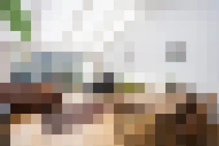 Frankhuisweg 5 Zwolle thumbnail 9