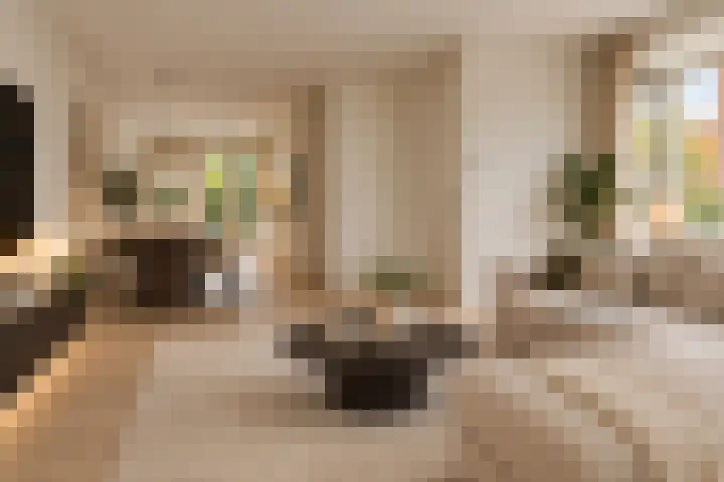 Frankhuizerallee 132 Zwolle thumbnail 11
