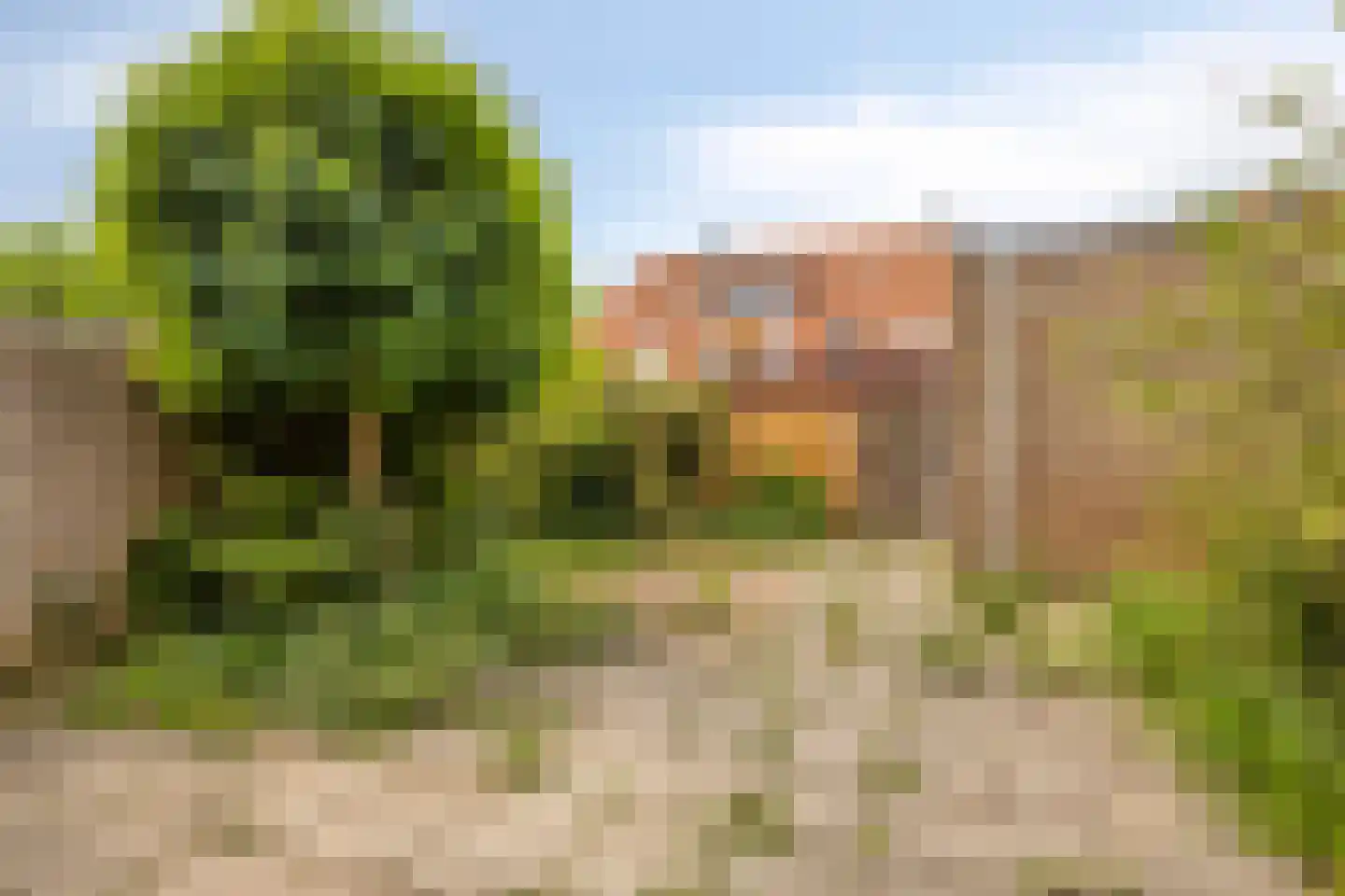 Frankhuizerallee 132 Zwolle thumbnail 12