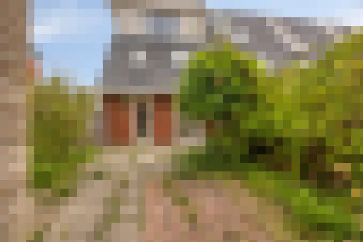 Frankhuizerallee 132 Zwolle thumbnail 14