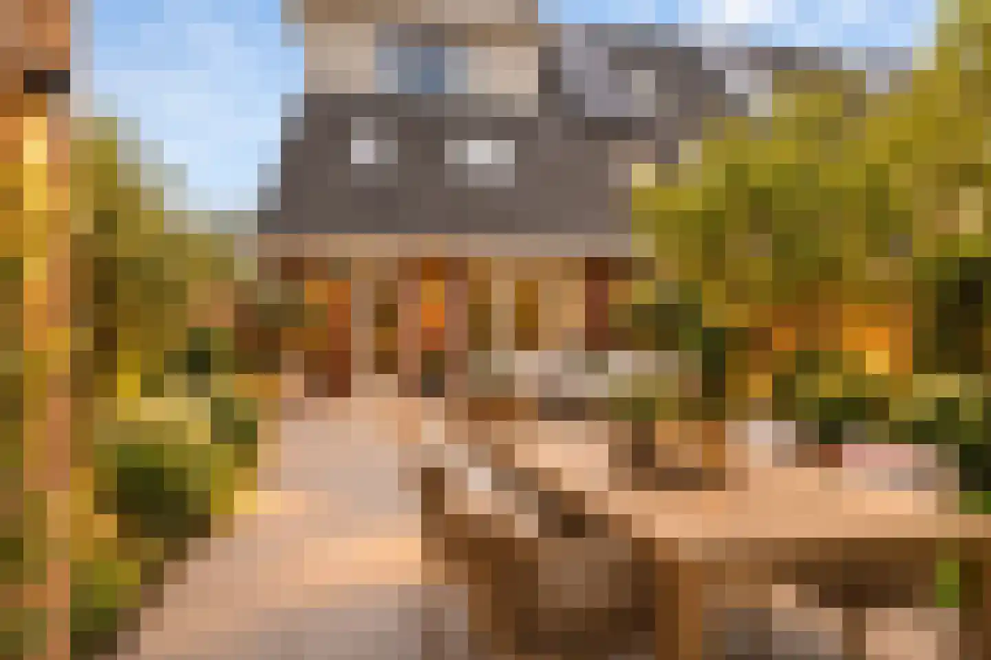 Frankhuizerallee 132 Zwolle thumbnail 15